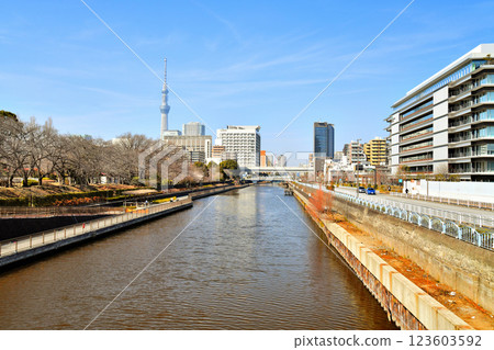 View of Sarue Park, Sumida Hospital, Shimizu Bridge and Yokojikken River (Koto-ku, Tokyo) [March 2025] 123603592