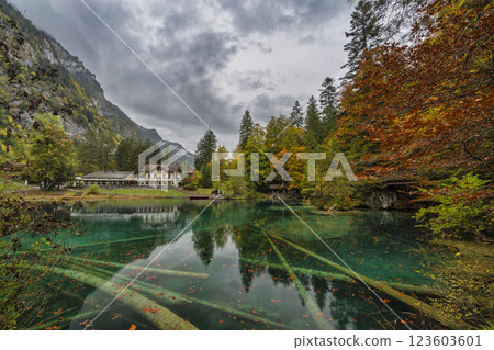Blausee Switzerland, nature landscape at blue lake in autumn season 123603601
