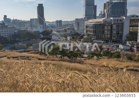 Seoul South Korea city skyline at Dongdaemun Gate (Heunginjimun Gate) in autumn Seoul South Korea city skyline at Dongdaemun Gate (Heunginjimun Gate) in autumn 123603655