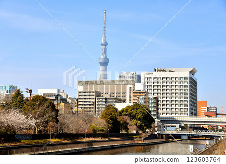 View of Sarue Park, Sumida Hospital, Shimizu Bridge and Yokojikken River (Koto-ku, Tokyo) [March 2025] 123603764