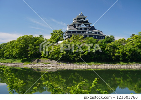 Okayama Castle tower seen from the riverbank on the Okayama Korakuen side with the clear May sky as the background 123603766