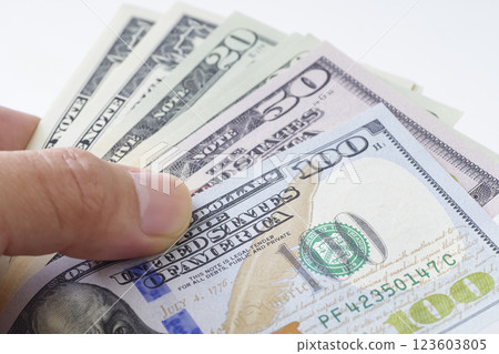 Various types of US dollar bills 123603805