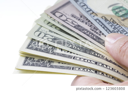 Various types of US dollar bills 123603808