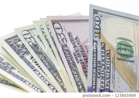 Various types of US dollar bills Various types of US dollar bills 123603809