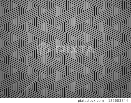 Abstract geometric pattern with stripes, lines. Seamless vector background. Gray and black ornament. Simple lattice graphic design 123603844