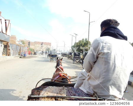 Horse-drawn carriage in the city of Edfu Horse-drawn carriage in the city of Edfu 123604056