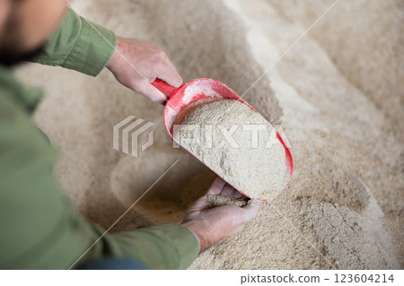 Corn flour cattle feed in farm storage Corn flour cattle feed in farm storage 123604214