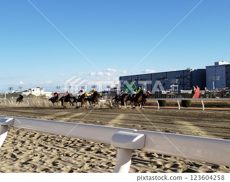 The approaching horses 123604258