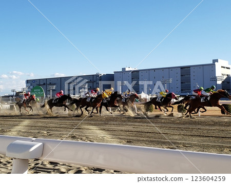 奔騰的駿馬 奔騰的駿馬 123604259