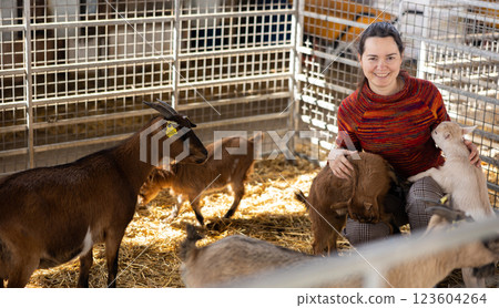 Young woman feeds goats with compound feed and plays with them in a paddock at farm 123604264