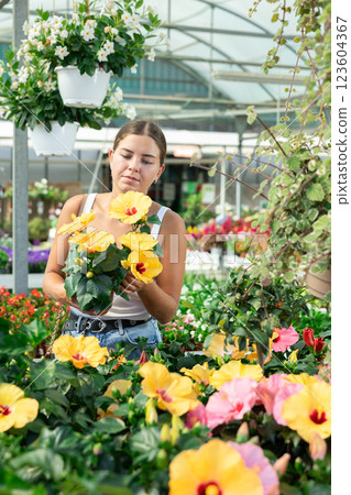 Girl walks through exhibition of ornamental plants, examines hibiscus in showcase Girl walks through exhibition of ornamental plants, examines hibiscus in showcase 123604367