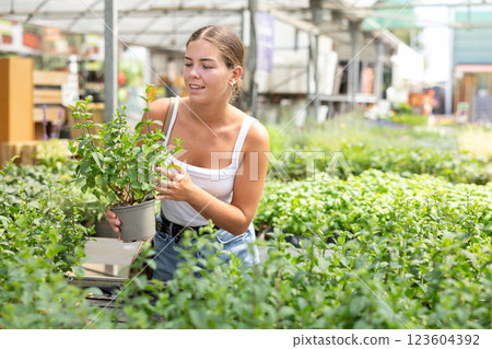 Girl walks through exhibition of ornamental plants, examines mint in showcase Girl walks through exhibition of ornamental plants, examines mint in showcase 123604392
