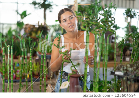 Young woman choosing bamboo in flower shop Young woman choosing bamboo in flower shop 123604554