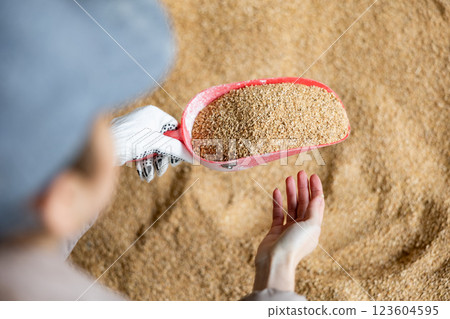 Young woman using a scoop to collect soy husks in an animal feed warehouse 123604595