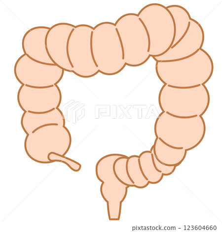 General large intestine 123604660