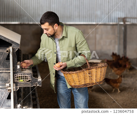 Farmer gathering fresh eggs inside hen house Farmer gathering fresh eggs inside hen house 123604758