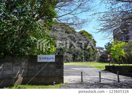 鷺沼城跡公園 千葉縣習志野市 鷺沼城跡公園 千葉縣習志野市 123605326