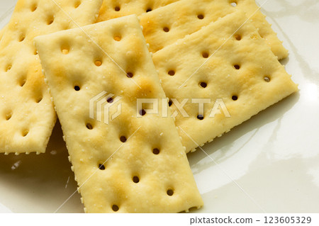 A simple image of crackers on a white plate 123605329