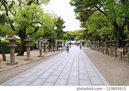 兵庫西宮 西宮神社 從南宮神社前面進入本宮(前面是辦公室,初夏) 兵庫西宮 西宮神社 從南宮神社前面進入本宮(前面是辦公室,初夏) 123605615
