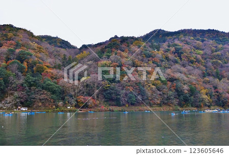 京都嵐山 - 嵐山的秋葉和大井川上的小船（初冬） 123605646