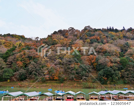 Kyoto Arashiyama: A houseboat lined up alongside the autumn leaves of Arashiyama (early winter) Kyoto Arashiyama: A houseboat lined up alongside the autumn leaves of Arashiyama (early winter) 123605647