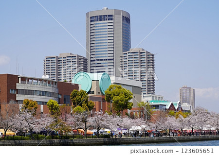 大阪造幣局和河畔櫻花漫步(晚春) 大阪造幣局和河畔櫻花漫步(晚春) 123605651