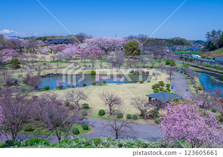 栃木縣栃木市津之鄉的春天景色 栃木縣栃木市津之鄉的春天景色 123605661