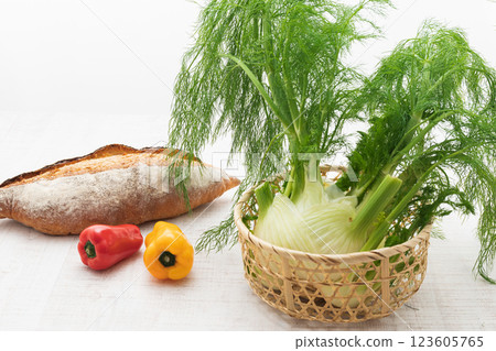 香草茴香 123605765