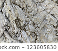 堅固的岩石表面 123605830