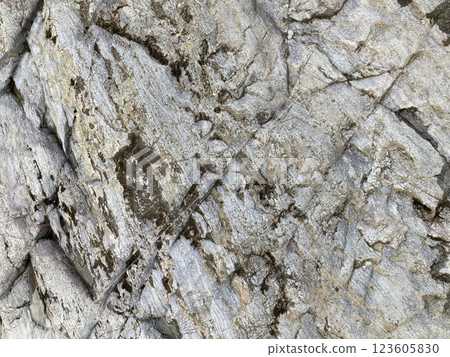 堅固的岩石表面 123605830
