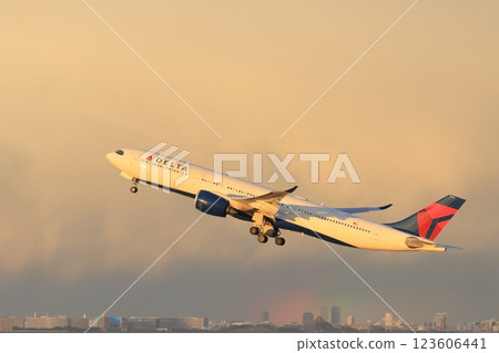 Passenger plane taking off in the setting sun Passenger plane taking off in the setting sun 123606441