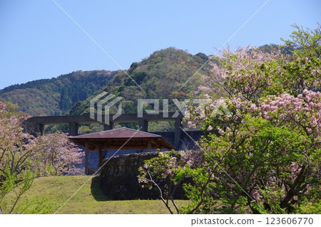 Cherry blossoms bloom at Dainichi Dam Park in Minamiawaji City, Hyogo Prefecture 123606770