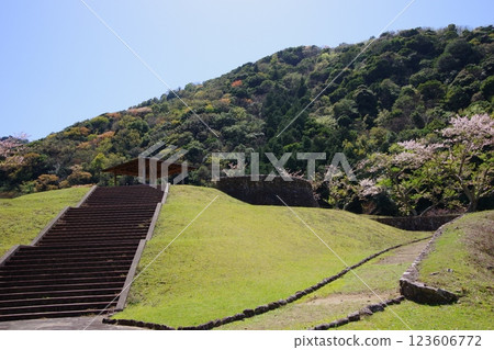 兵庫縣南淡路市大日水壩公園的春天 123606772