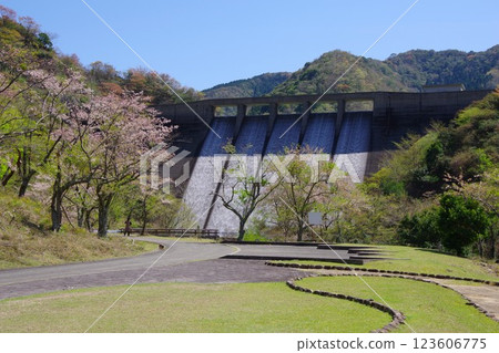 兵庫縣南淡路市大日川水壩 123606775