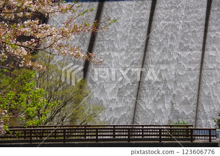 兵庫縣南淡路市大日川水壩放水 123606776