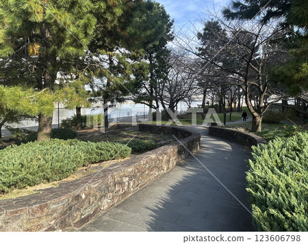 Japanese park with a walking path in the coastal area 123606798