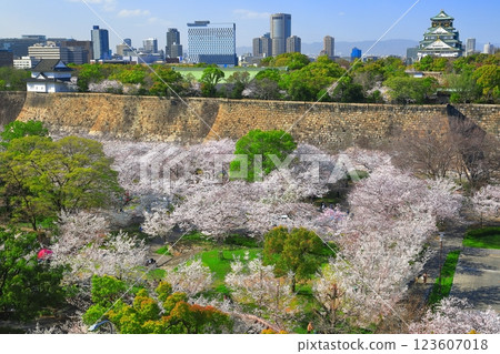 [Osaka Prefecture] Osaka Castle and OAP with cherry blossoms in full bloom 123607018