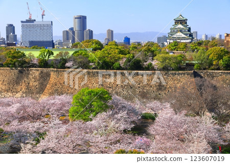 [Osaka Prefecture] Osaka Castle and OAP with cherry blossoms in full bloom 123607019