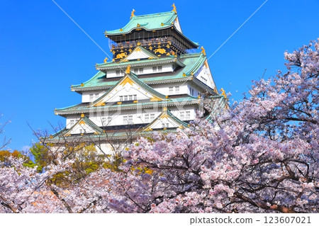 [Osaka Prefecture] Cherry Blossoms in Full Bloom and Osaka Castle 123607021