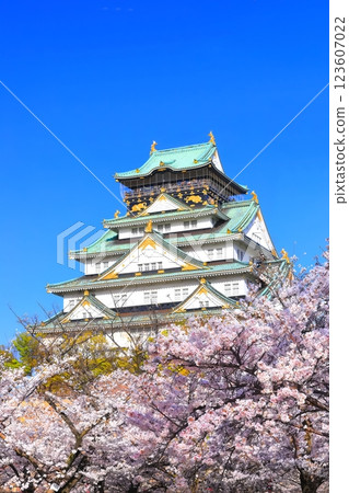 [Osaka Prefecture] Cherry Blossoms in Full Bloom and Osaka Castle 123607022