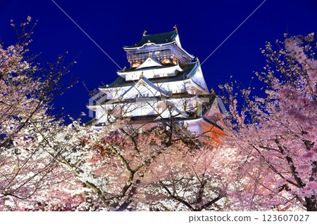 [Osaka Prefecture] Cherry blossoms in full bloom at night and Osaka Castle 123607027