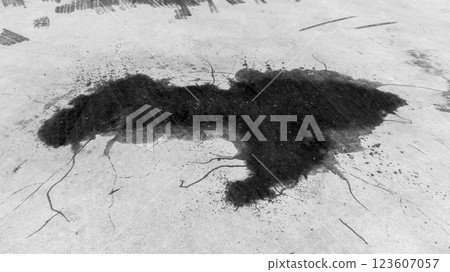 Top view black engine oil drop on concrete ground road, Stain of engine oil dripping on the ground street road, Texture and backgruond engine oil drop on floor, Automobile garage. 123607057
