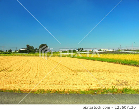 Kanda suburban scenery in late summer Kanda suburban scenery in late summer 123607120