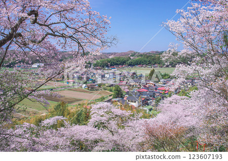 Spring scenery of Ashino Gotenyama, Nasu Town, Tochigi Prefecture 123607193
