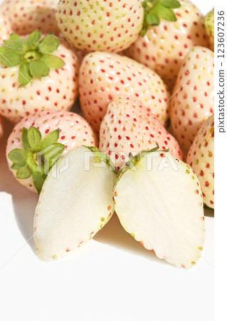 Strawberry (Milky Berry) 123607236