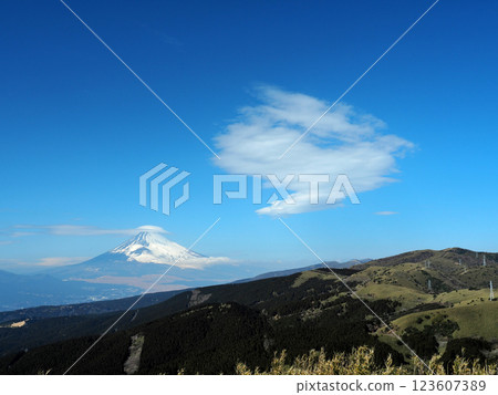 從靜岡縣十國山口眺望富士山 123607389