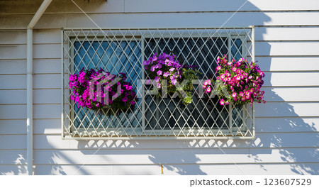 Flower decorations on windows 123607529