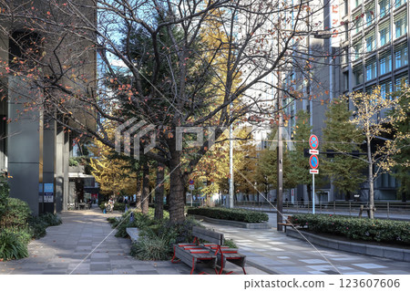 City Sidewalk Lined with Autumn Trees and Benches, Japan Dec 10 2024 City Sidewalk Lined with Autumn Trees and Benches, Japan Dec 10 2024 123607606