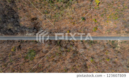 Asphalt road in the middle of the forest, Road through the forest car drive on the road between forest, Ecosystem ecology environment, Aerial view. Asphalt road in the middle of the forest, Road through the forest car drive on the road between forest, Ecosystem ecology environment, Aerial view. 123607809