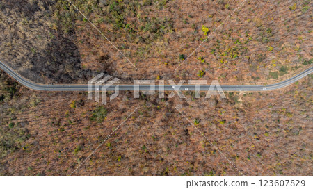 Asphalt road in the middle of the forest, Road through the forest car drive on the road between forest, Ecosystem ecology environment, Aerial view. 123607829